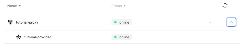 The status of the FPD and the provider on the settings page